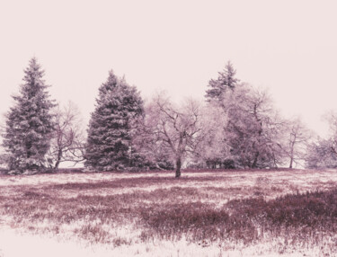 Photographie intitulée "Winter Landscape Ph…" par Bilge Paksoylu, Œuvre d'art originale, Photographie numérique