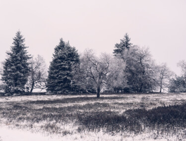 Fotografia zatytułowany „Winter Landscape Ph…” autorstwa Bilge Paksoylu, Oryginalna praca, Fotografia cyfrowa