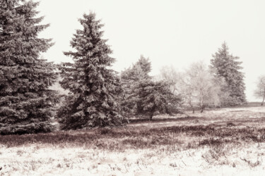 Fotografia zatytułowany „Winter Landscape Ph…” autorstwa Bilge Paksoylu, Oryginalna praca, Fotografia cyfrowa