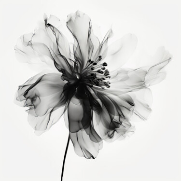 Arts numériques intitulée "Black Translucent F…" par Bilge Paksoylu, Œuvre d'art originale, Image générée par l'IA