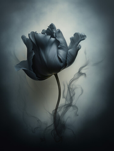 Digitale Kunst getiteld "Black Flower 3" door Bilge Paksoylu, Origineel Kunstwerk, AI gegenereerde afbeelding