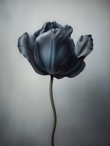 Digitale Kunst getiteld "Black Flower 5" door Bilge Paksoylu, Origineel Kunstwerk, AI gegenereerde afbeelding
