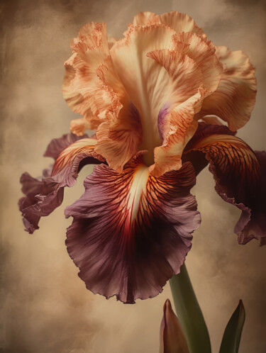 Digital Arts titled "Iris Flowers 2" by Bilge Paksoylu, Original Artwork, AI generated image