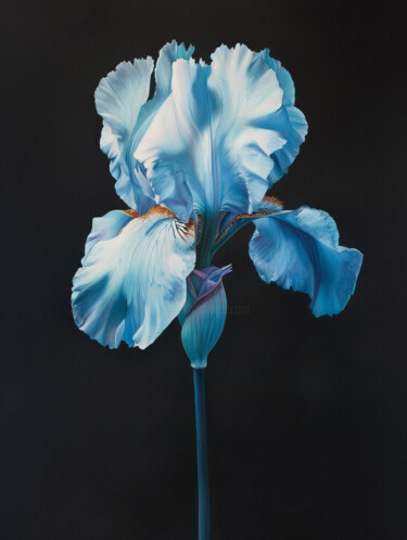 Digital Arts titled "Iris Flowers 3" by Bilge Paksoylu, Original Artwork, AI generated image