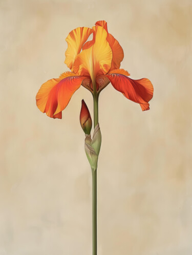 Digital Arts titled "Iris Flowers 4" by Bilge Paksoylu, Original Artwork, AI generated image