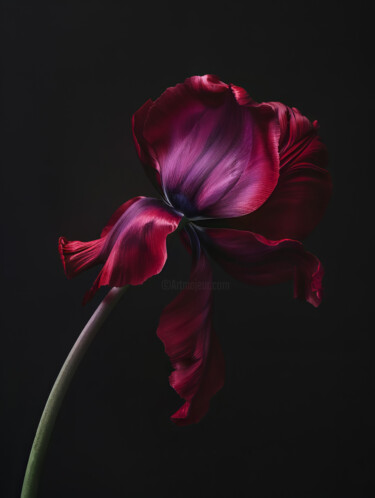 Digitale Kunst getiteld "Red Flower 3" door Bilge Paksoylu, Origineel Kunstwerk, AI gegenereerde afbeelding