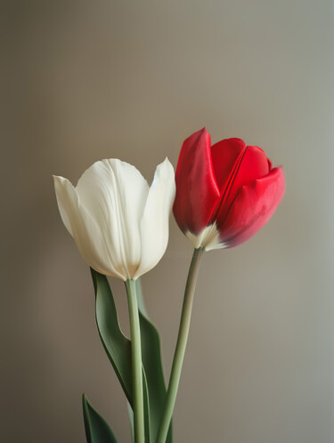 Digital Arts titled "Tulips 2" by Bilge Paksoylu, Original Artwork, AI generated image