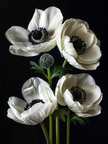 Digital Arts titled "White Flowers 1" by Bilge Paksoylu, Original Artwork, AI generated image