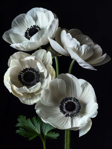 Digital Arts titled "White Flowers 13" by Bilge Paksoylu, Original Artwork, AI generated image