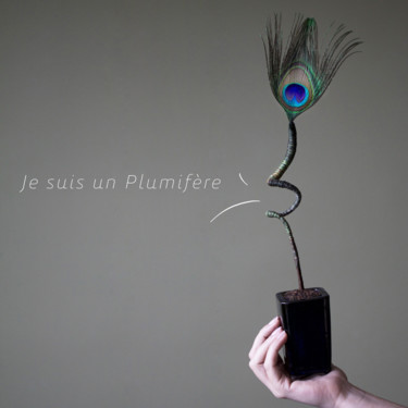 Sculpture intitulée "Paon Tomime" par Bilitis Poirier, Œuvre d'art originale, Techniques mixtes