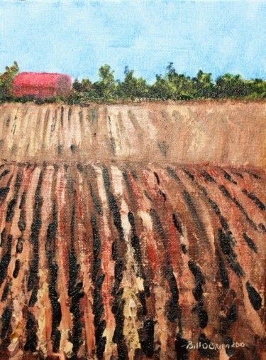 Painting titled "Ploughed Fields Kin…" by Bill O'Brien, Original Artwork, Oil