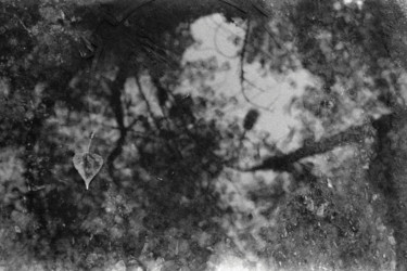 Fotografie mit dem Titel "Autumn feelings" von Andrii Bilonozhko, Original-Kunstwerk, Analog Fotografie