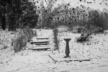 Fotografia zatytułowany „Birds” autorstwa Andrii Bilonozhko, Oryginalna praca, Fotografia nie manipulowana