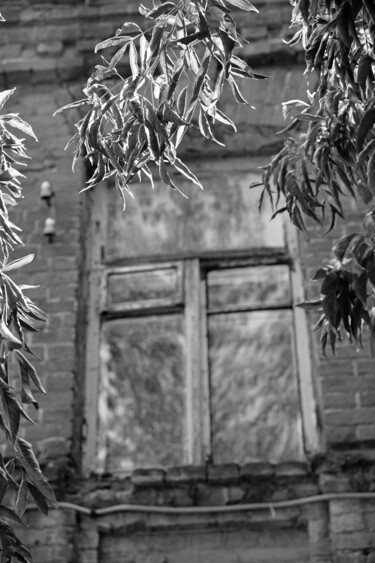 Fotografie mit dem Titel "Window and leaves o…" von Andrii Bilonozhko, Original-Kunstwerk, Light Painting