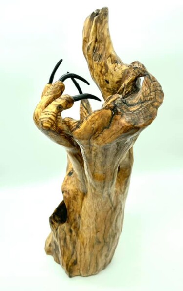 Sculpture titled "Serre d'aigle" by Sabine Canton, Original Artwork, Wood