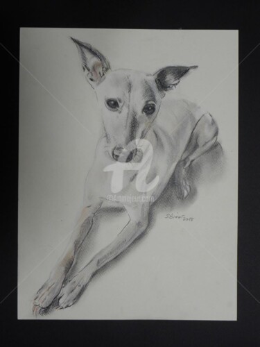 Dibujo titulada "chien sphynx" por Sophie Binet, Obra de arte original, Pastel