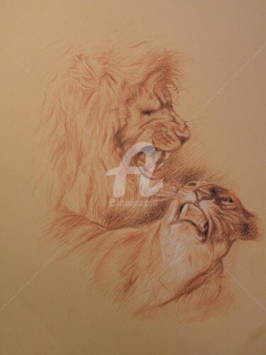 Zeichnungen mit dem Titel "lionnes.jpg" von Sophie Binet, Original-Kunstwerk, Bleistift