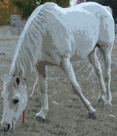 Digital Arts titled "The Gray Horse" by Bruce Black, Original Artwork