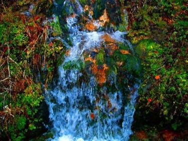 Digital Arts titled "Waterfall at Cascad…" by Bruce Black, Original Artwork