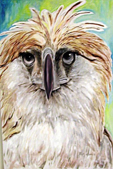 Painting titled "Philippine Eagle" by Betty James, Original Artwork
