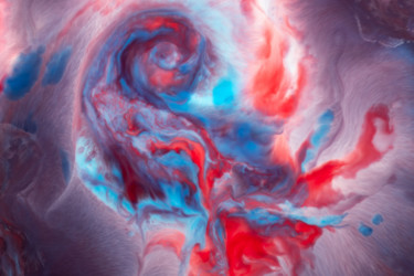 Phoenix Bird Photographie intitulée "Phoenix Bird" par Mariya Obidina, Œuvre d'art originale, Photographie numérique