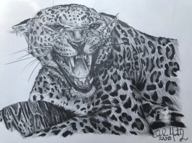 Drawing titled "Jaguar" by Black Coatl Designs, Original Artwork, Graphite