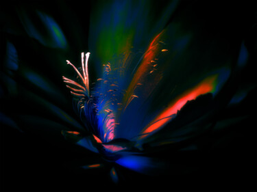 Druckgrafik mit dem Titel "Glowing Flower" von Lewis Freitag, Original-Kunstwerk, Digitaldruck Auf Keilrahmen aus Holz monti…