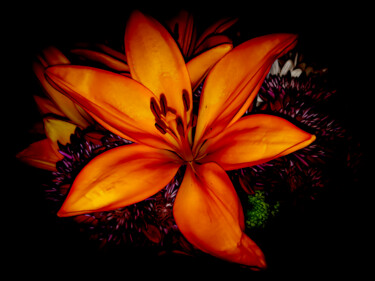 Отпечатки и Гравюры под названием "The Blooming Lilies" - Lewis Freitag, Подлинное произведение искусства, Цифровая печать У…