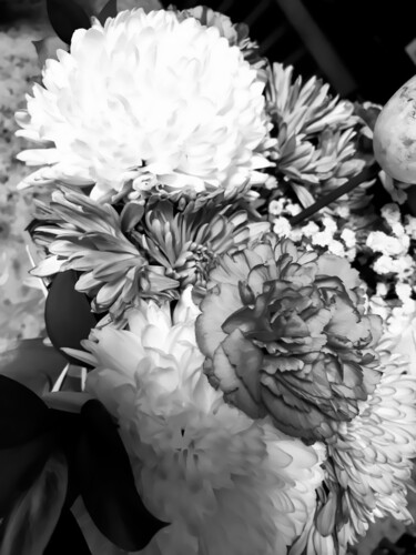 Εκτυπώσεις & Χαρακτικά με τίτλο "Easter Carnations" από Lewis Freitag, Αυθεντικά έργα τέχνης, Ψηφιακή εκτύπωση Τοποθετήθηκε…