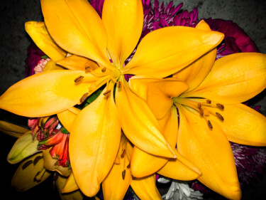 Отпечатки и Гравюры под названием "The Yellow Lilies" - Lewis Freitag, Подлинное произведение искусства, Цифровая печать Уст…
