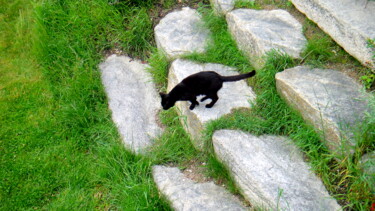 Photographie intitulée "Black cat" par Blago Simeonov, Œuvre d'art originale, Photographie numérique