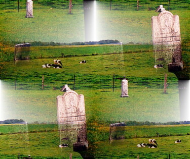 Photography titled "Gravestones and Cows" by Blago Simeonov, Original Artwork, Digital Photography