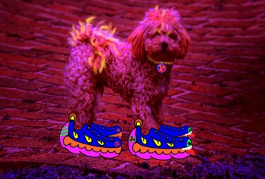 Artes digitais intitulada "Sneakerhead poodle…" por Blame Mr Ken, Obras de arte originais, Pintura digital