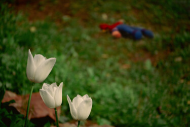 "Go out and play" başlıklı Fotoğraf Blame Mr Ken tarafından, Orijinal sanat, Dijital Fotoğrafçılık