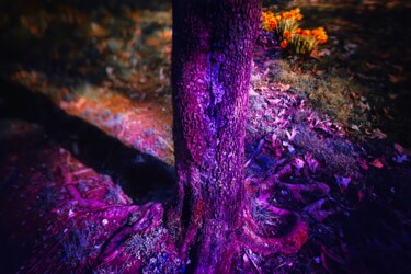 Photographie intitulée "Ultraviolet trunk a…" par Blame Mr Ken, Œuvre d'art originale, Photographie manipulée