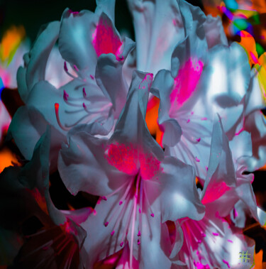 Fotografia intitolato "The Flowering Infer…" da Blame Mr Ken, Opera d'arte originale, Fotografia digitale