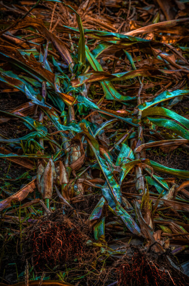Corn with GMO’s of lizard and mammal with roots/veins pulled Arts numériques intitulée "Corn with GMO’s of…" par Blame Mr Ken, Œuvre d'art originale, Peinture numérique
