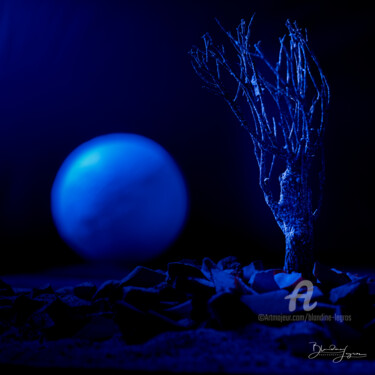 Fotografia intitulada "Rhapsodie in blue" por Blandine Legros, Obras de arte originais, Fotografia Não Manipulada Montado em…