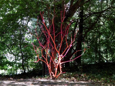 Sculpture intitulée "Fire flower" par Christopher Laurent-Blondel, Œuvre d'art originale, Bois