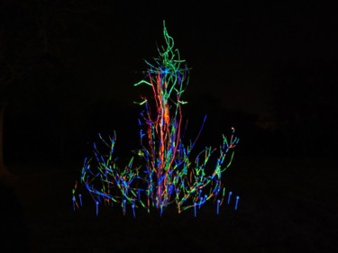 Sculpture intitulée "Cosmic flower" par Christopher Laurent-Blondel, Œuvre d'art originale, Bois