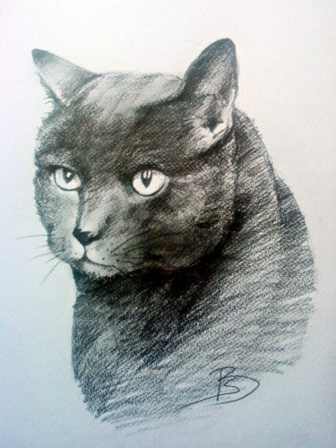 Drawing titled "Cat" by Beata Sikorska-Łabęcka, Original Artwork, Other