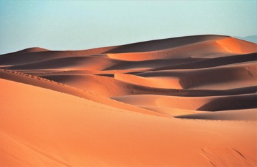 Photography titled "Music of the Desert…" by Boris Davidovich, Original Artwork