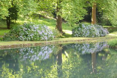 Фотография под названием "Pond. Wales" - Boris Davidovich, Подлинное произведение искусства