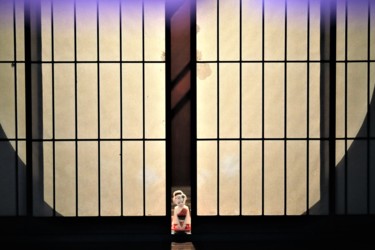 Photography titled "Please come in! Jap…" by Boris Davidovich, Original Artwork, Digital Photography