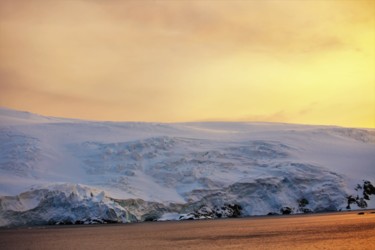 Photography titled "Antarctica. N 19" by Boris Davidovich, Original Artwork