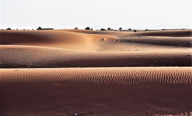 Фотография под названием "Sahara Desert. N1.…" - Boris Davidovich, Подлинное произведение искусства