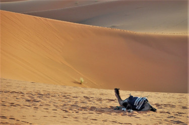 Фотография под названием "Sahara Desert. N4.…" - Boris Davidovich, Подлинное произведение искусства