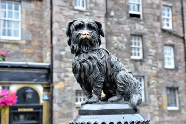 Фотография под названием "Dog Bobby. Edinburg…" - Boris Davidovich, Подлинное произведение искусства