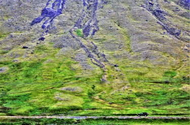 Photography titled "Iceland. N20" by Boris Davidovich, Original Artwork