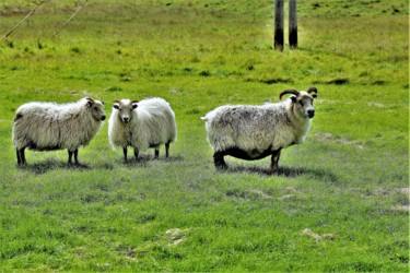 Photography titled "Simbols of Iceland" by Boris Davidovich, Original Artwork